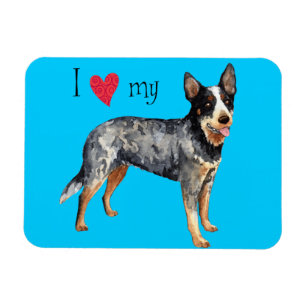 I Kärlek min australiska Cattle Hund Magnet
