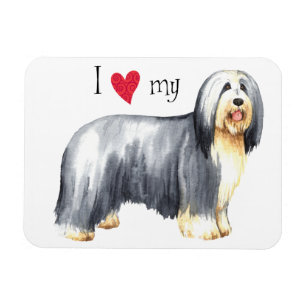 I Kärlek min Bearded Collie Magnet