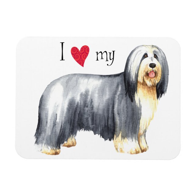 I Kärlek min Bearded Collie Magnet (Horisontell)