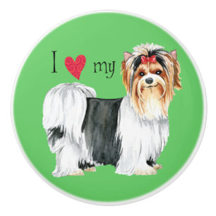 I kärlek min Biewer Terrier Knopp