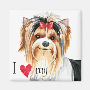 I Kärlek min Biewer Terrier Magnet