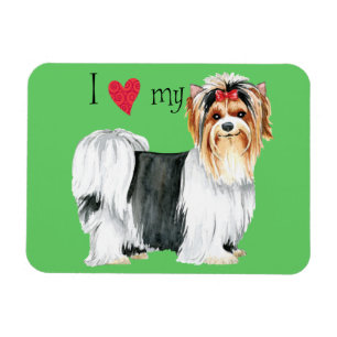 I Kärlek min Biewer Terrier Magnet