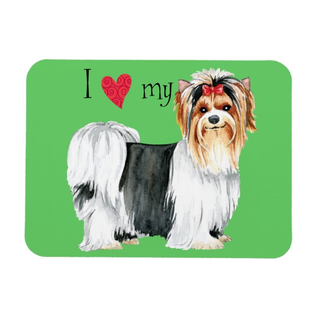 I Kärlek min Biewer Terrier Magnet (Horisontell)