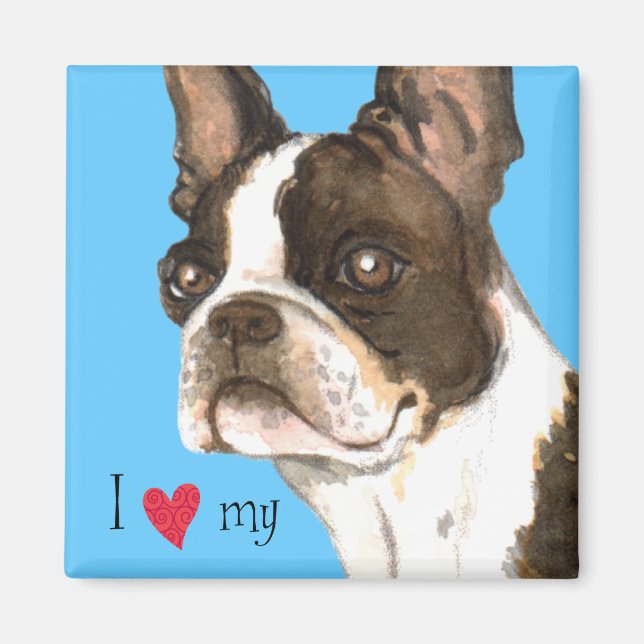 I Kärlek min Boston Terrier Magnet (Framsidan)