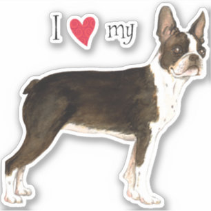 I Kärlek min Boston Terrier Vinyl Sticker Klistermärken