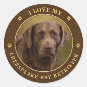 I Kärlek, min "Chesapeake Bay Retriever Round Stic Runt Klistermärke