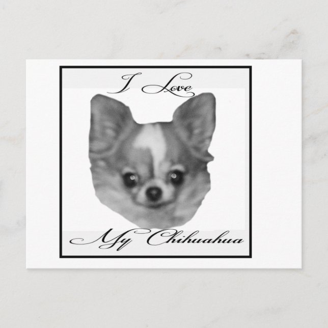 I kärlek min chihuahua vykort (Framsida)