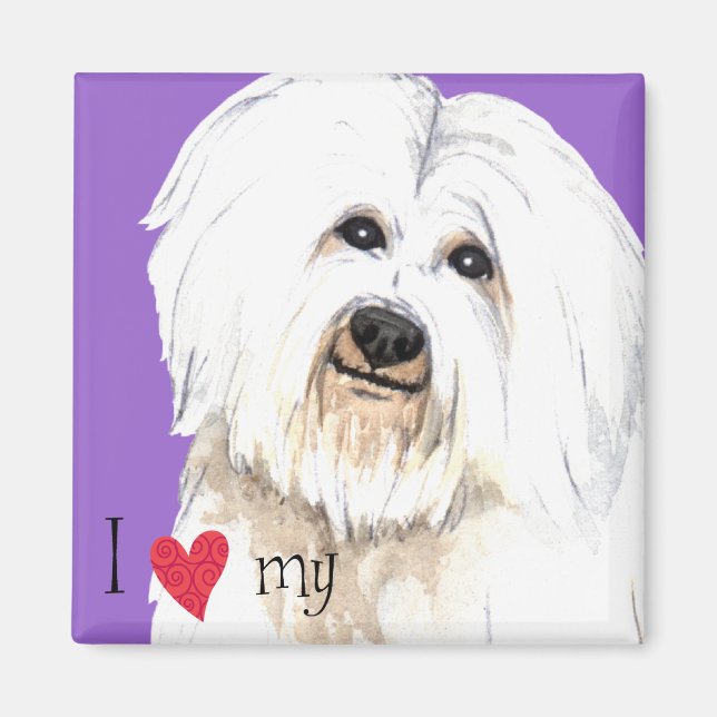 I Kärlek min Coton de Tulear Magnet (Framsidan)