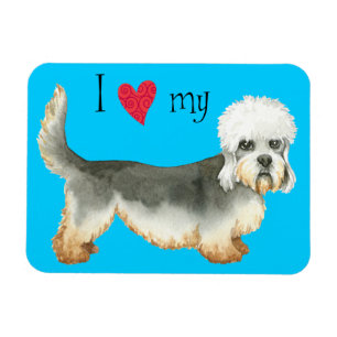 I Kärlek min Dandie Dinmont Terrier Magnet