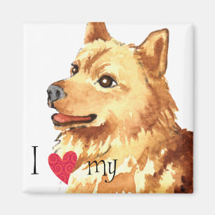 I Kärlek min finska Spitz Magnet