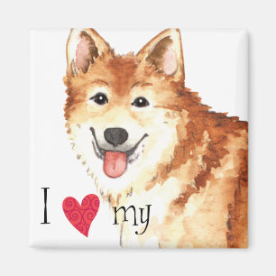 I Kärlek min isländska fårhund Magnet