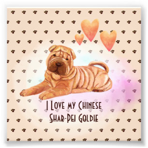 I Kärlek Min kinesiska Shar-Pei Namn Anpassningsba Fototryck
