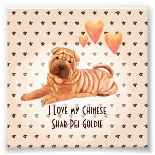 I Kärlek Min kinesiska Shar-Pei Namn Anpassningsba Fototryck