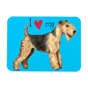 I Kärlek min Lakeland Terrier Magnet