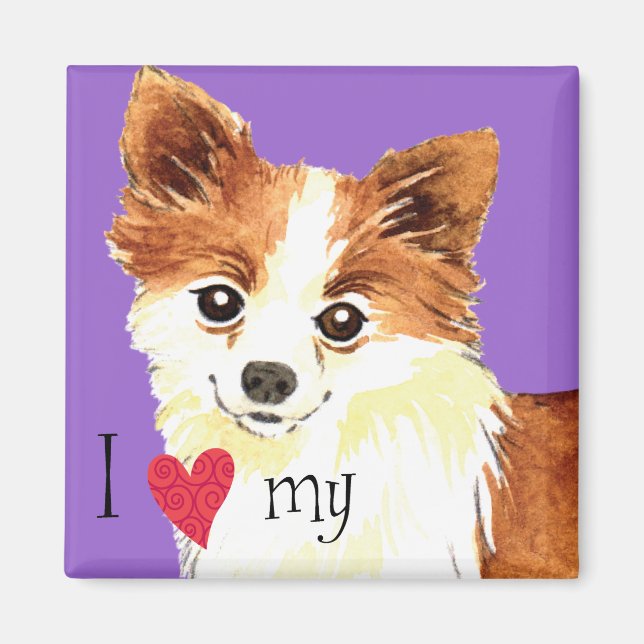I Kärlek min Long Jacka Chihuahua Magnet (Framsidan)