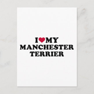 I kärlek min Manchester Terrier Vykort