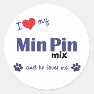 I Kärlek Min Min min Pin Mix (manlig Hund) Runt Klistermärke