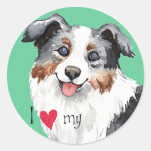 I Kärlek min Mini American Shepherd Runt Klistermärke