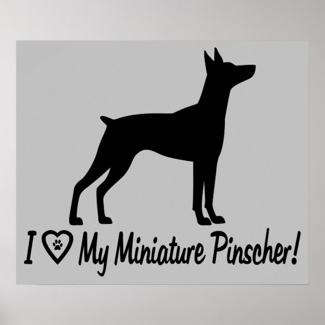 I Kärlek Min minister Pinscher i Silhouette Poster (Framsidan)