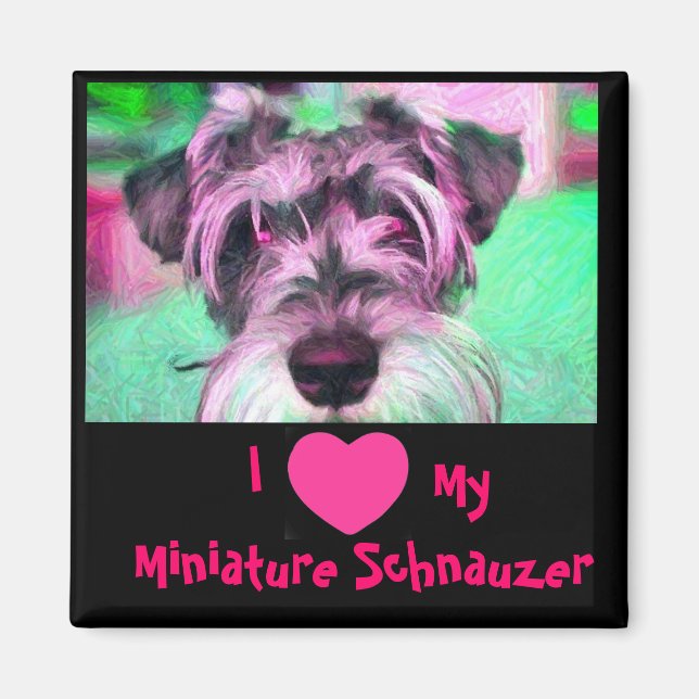 I Kärlek Min minister Schnauzer Magnet (Framsidan)
