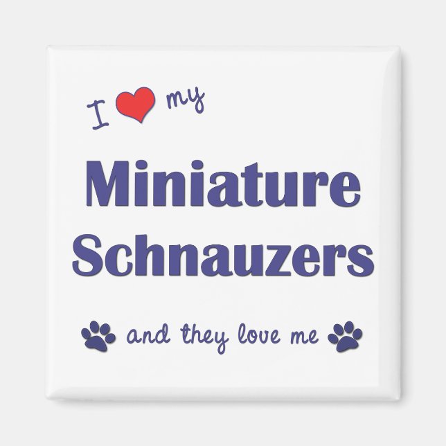 I Kärlek Min minister Schnauzers (Många Hundar) Magnet (Framsidan)