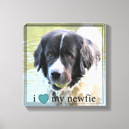 I kärlek min Newfie Newfoundland Black Gräns Canvastryck