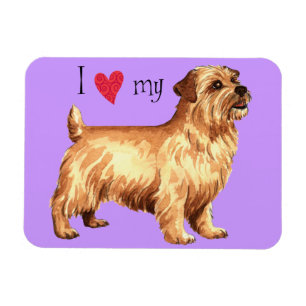 I Kärlek min Norfolk Terrier Magnet