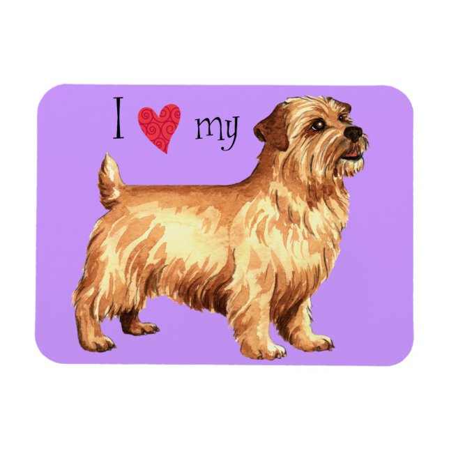I Kärlek min Norfolk Terrier Magnet (Horisontell)