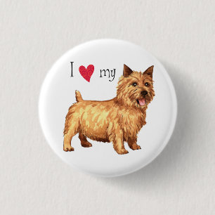 I Kärlek min norwich Terrier Knapp