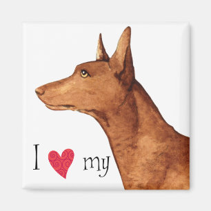 I Kärlek min Pharaoh Hound Magnet
