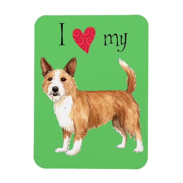 I Kärlek min portugisiska Podengo Pequeno Magnet (Vertikal)