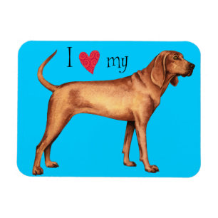 I Kärlek min Redbone Coonhound Magnet