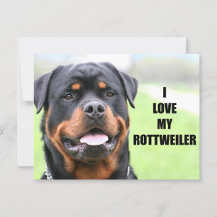 I Kärlek min Rottweiler Vykort