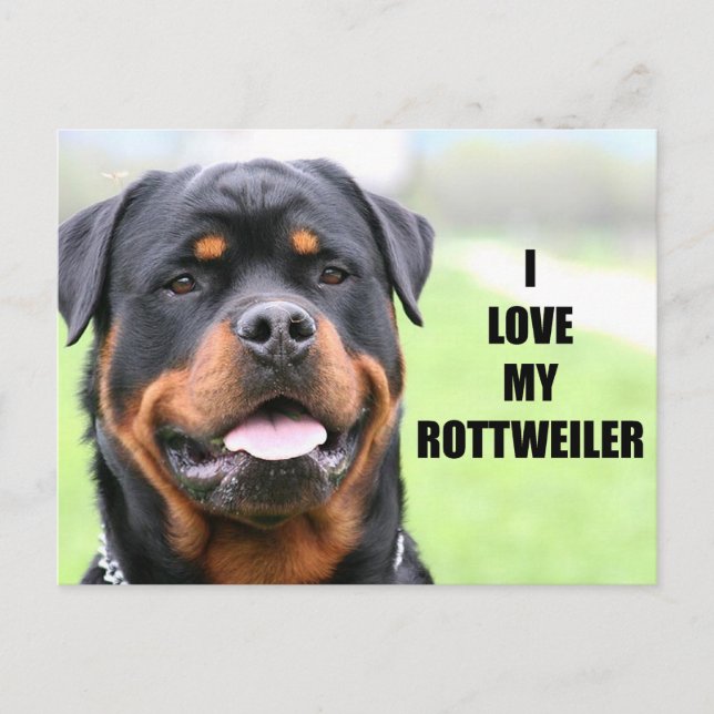 I Kärlek min Rottweiler Vykort (Framsida)