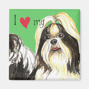 I Kärlek min Shih Tzu Magnet