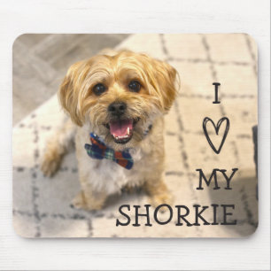 I Kärlek Min Shorkie  Foto Musmatta