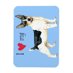 I Kärlek min Teddy Roosevelt Terrier Magnet