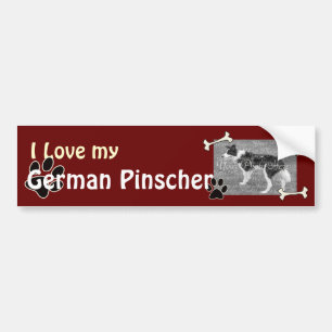 I kärlek min tyska Pinscher Bumper Sticker Bildekal