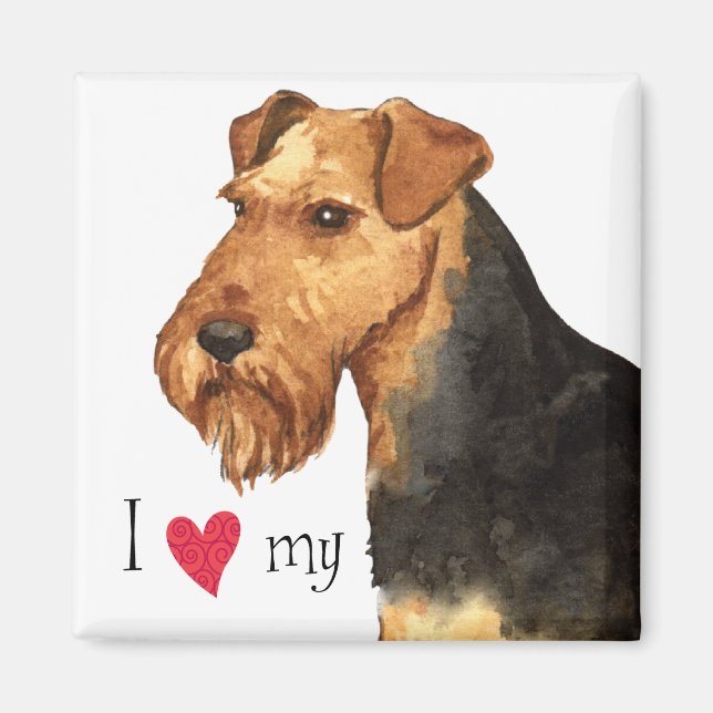 I Kärlek min Welsh Terrier Magnet (Framsidan)