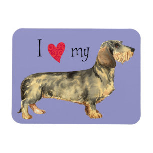 I Kärlek min Wireh!d Dachshund Magnet