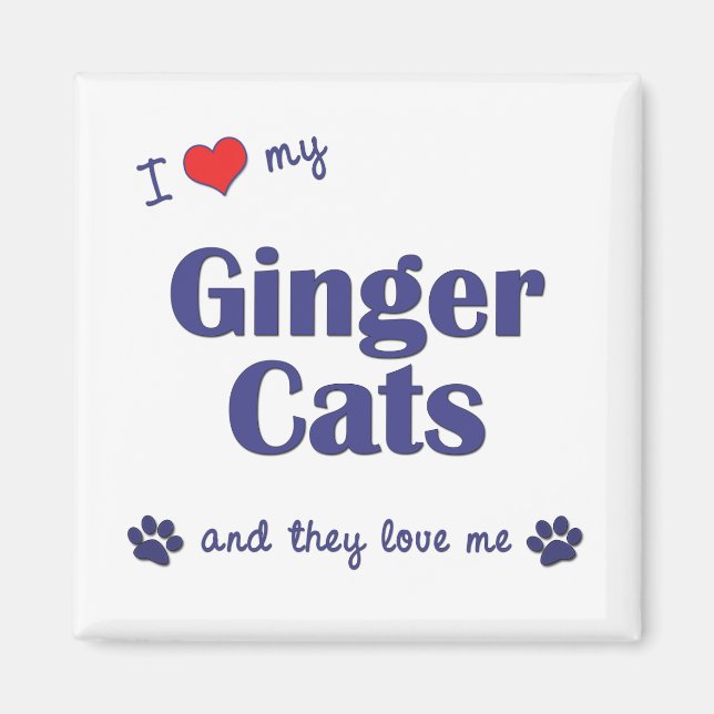 I Kärlek Mina Ginger Cats (Många Cats) Magnet (Framsidan)