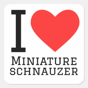 I kärlek miniatyrschnauzer fyrkantigt klistermärke