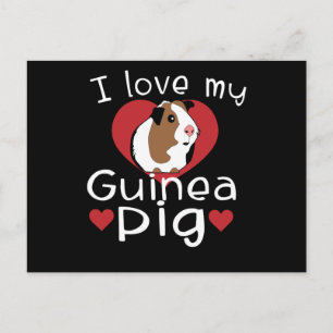 I Kärlek Mitt Guineas Gris Cute Guinea Gris Älskar Vykort