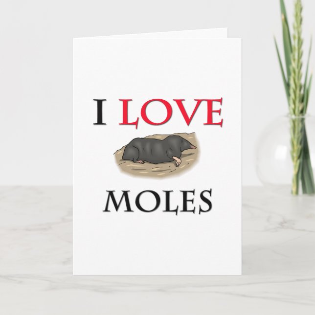 I Kärlek Moles Kort (Framsida)