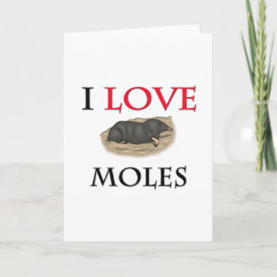 I Kärlek Moles Kort