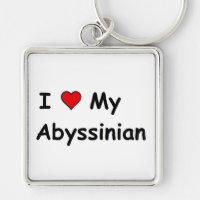 I Kärlek My Abyssinian