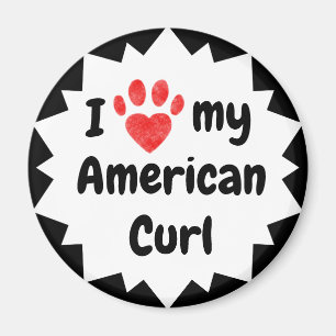 I Kärlek My American Curl Cat Magnet