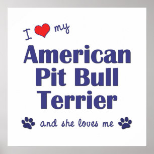 I Kärlek My American Pit Bull Terrier (Female Hund Poster