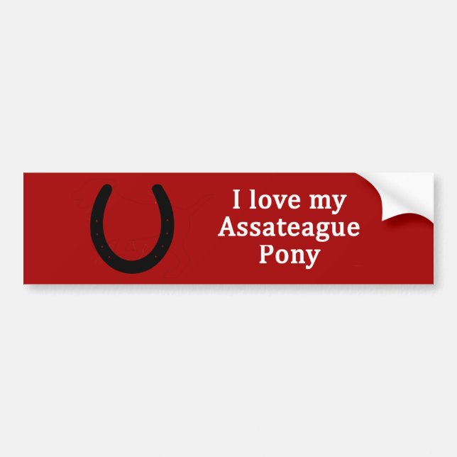 I Kärlek My Assateague Pony Bildekal (Framsidan)