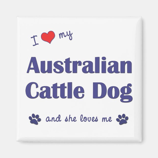 I Kärlek My Australian Cattle Hund (Female Hund) Magnet (Framsidan)